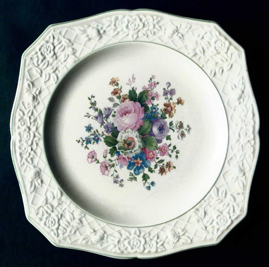 SLM45 Dinner Plate by Salem-1