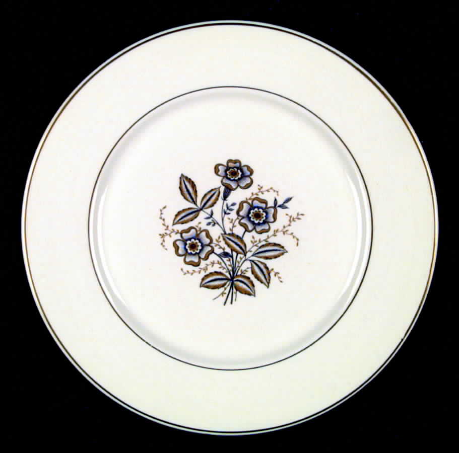 SLM47 Dinner Plate by Salem-1
