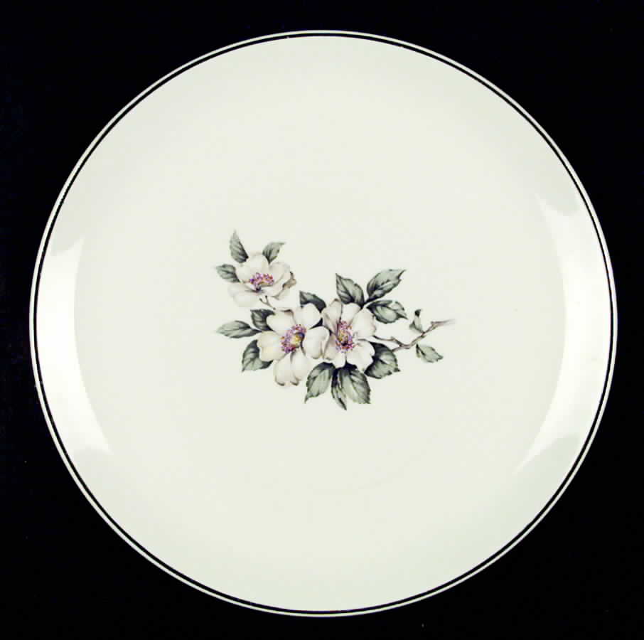 SLM48 Dinner Plate by Salem-1