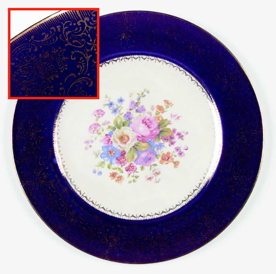 SLM50 Dinner Plate by Salem-1