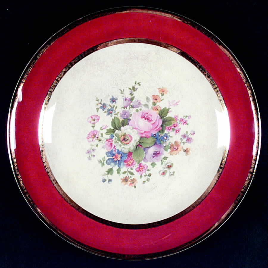 SLM51 Dinner Plate by Salem-1