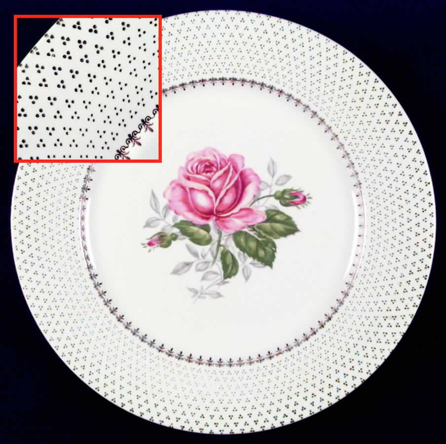 SLM58 Dinner Plate by Salem-1