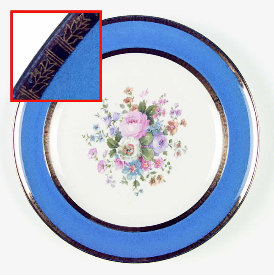 SLM59 Dinner Plate by Salem-1