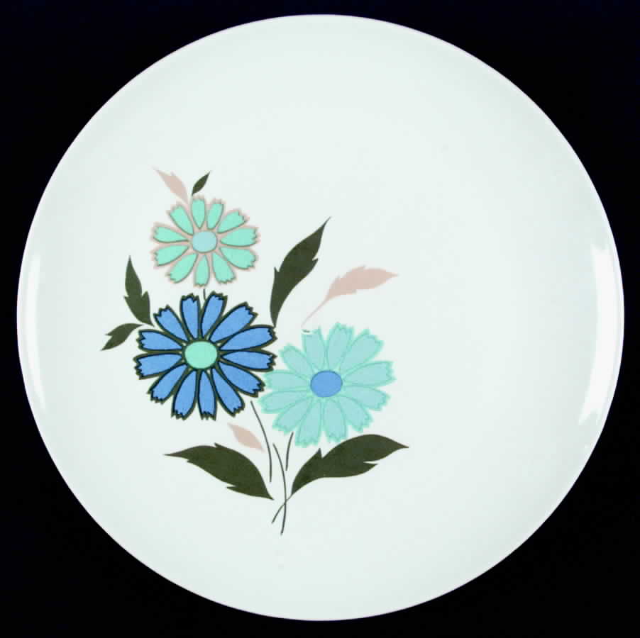 SLM60 (CHINA) Dinner Plate by Salem-1