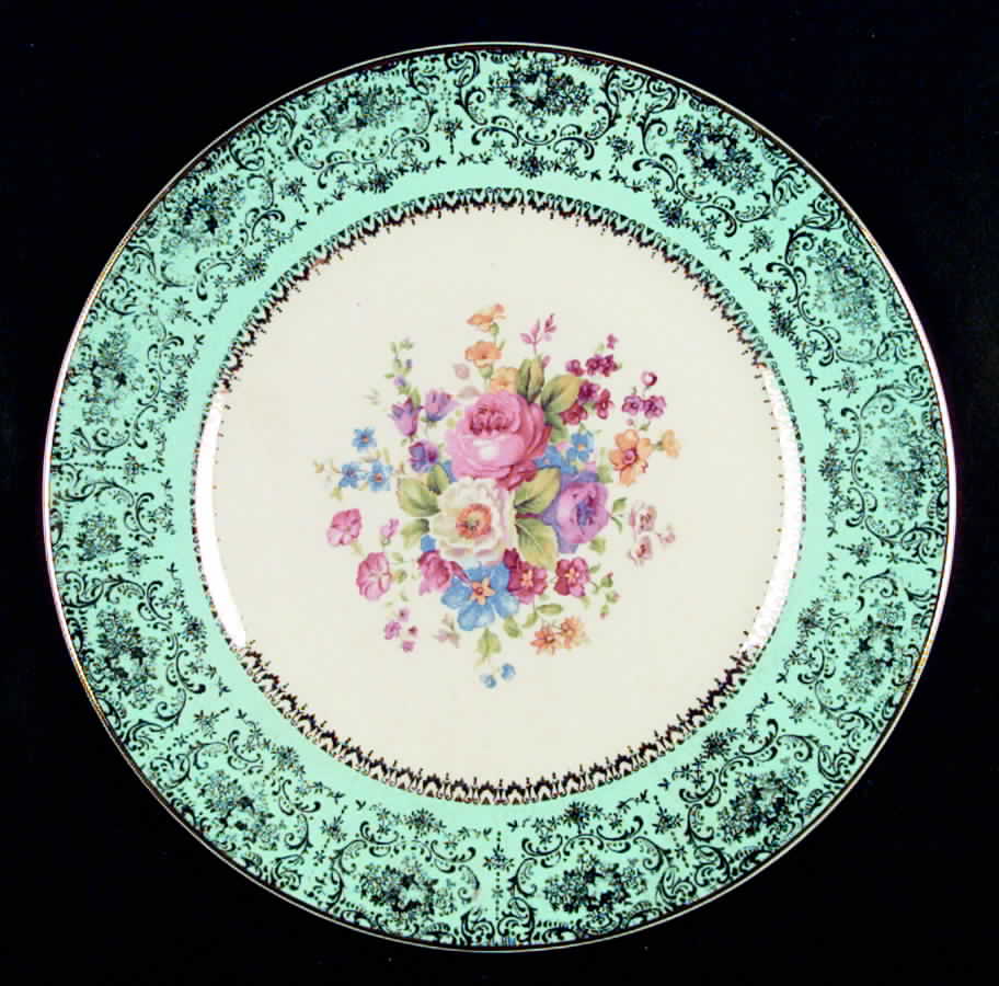SLM68 Dinner Plate by Salem-1