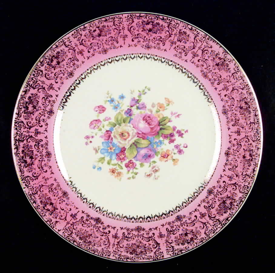 SLM69 Dinner Plate by Salem-1