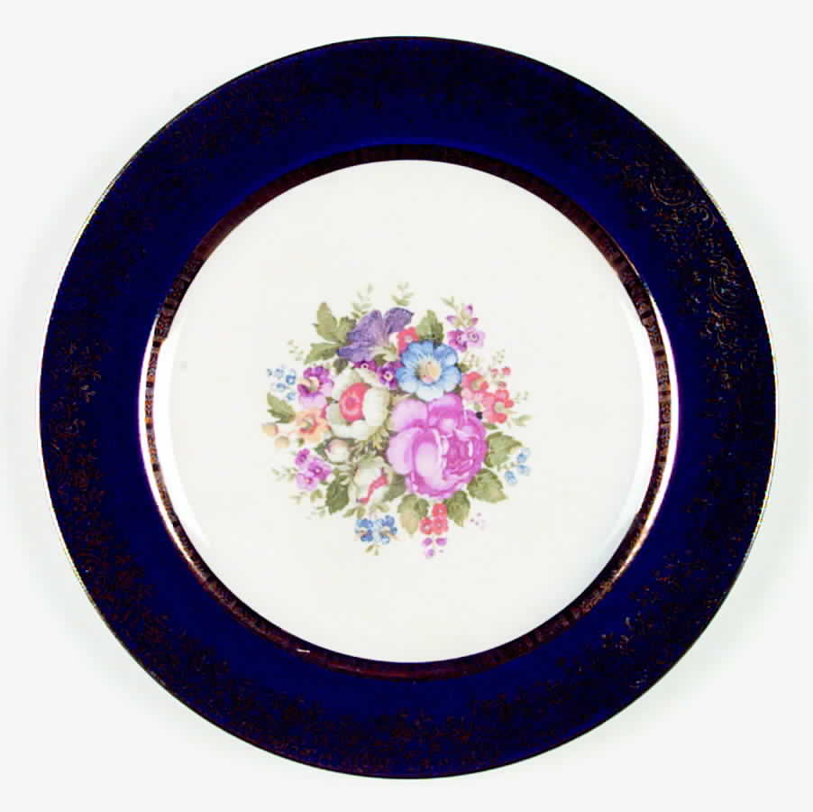 SLM76 Dinner Plate by Salem-1