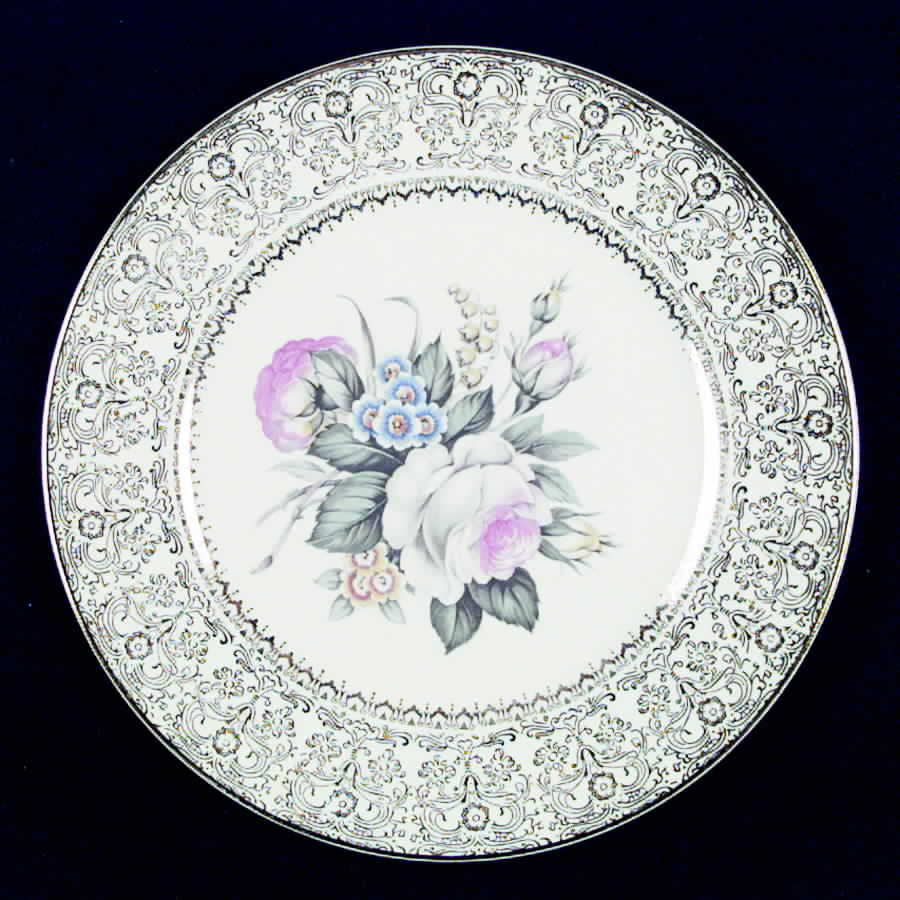 SLM8 Dinner Plate by Salem-1