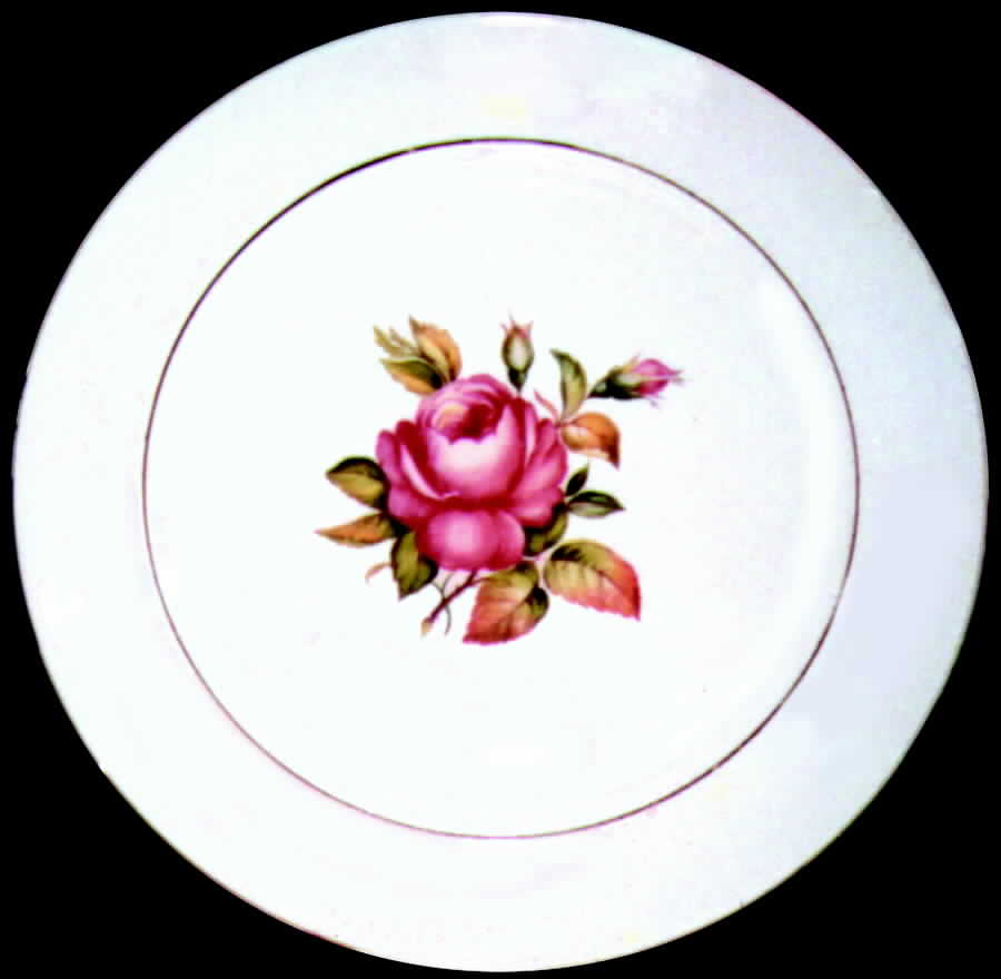 SLM84 Dinner Plate by Salem-1