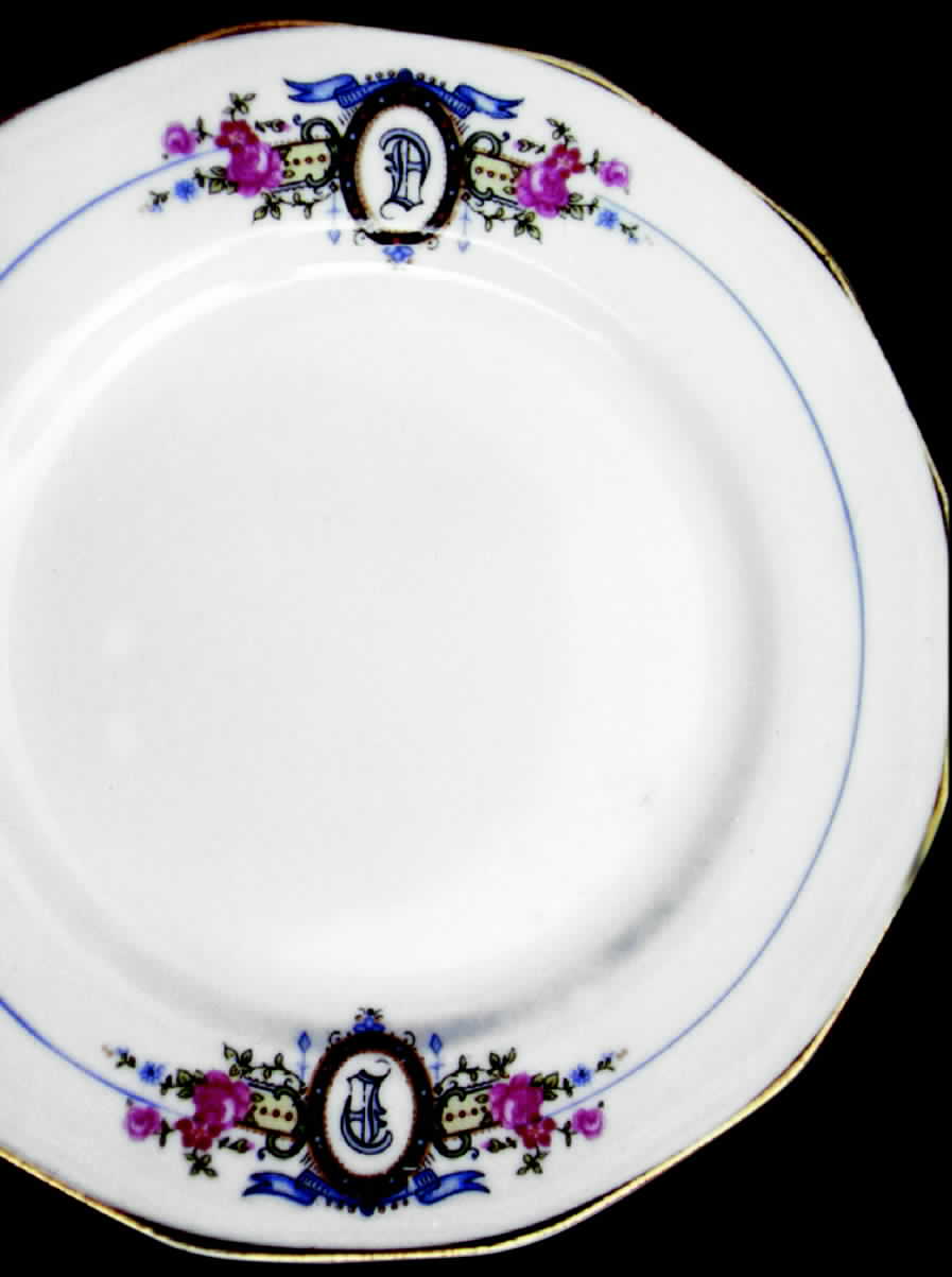 SLM87 Dinner Plate by Salem-1