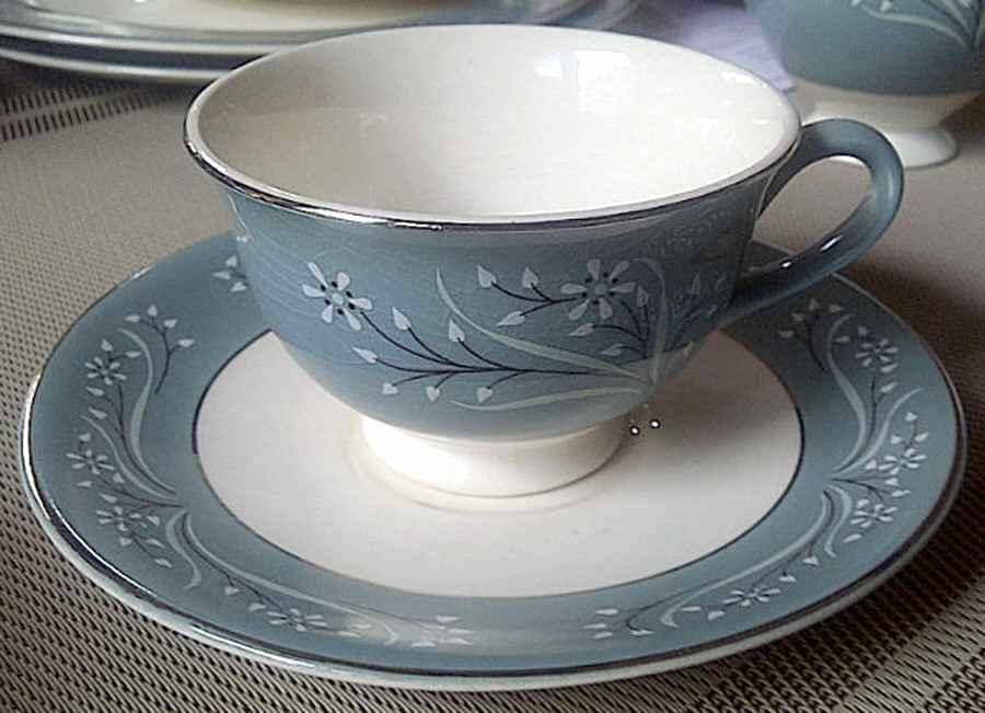 SLM88 Footed Cup & Saucer Set by Salem-1