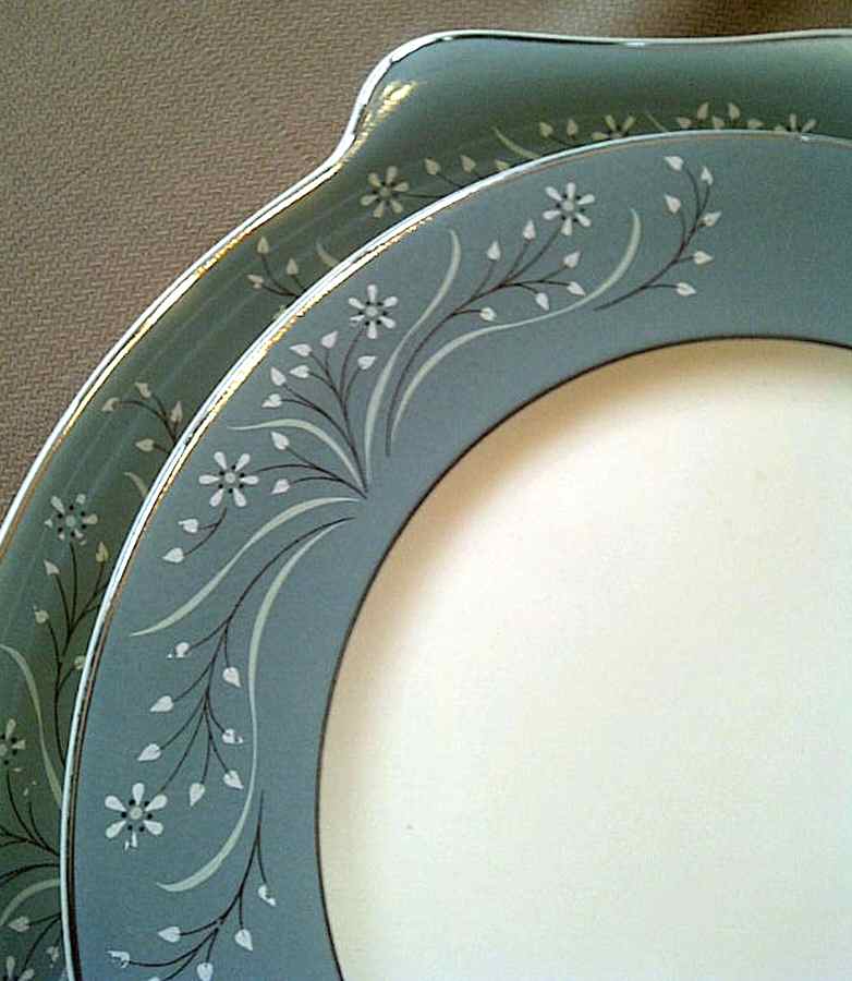 SLM88 Dinner Plate by Salem-1