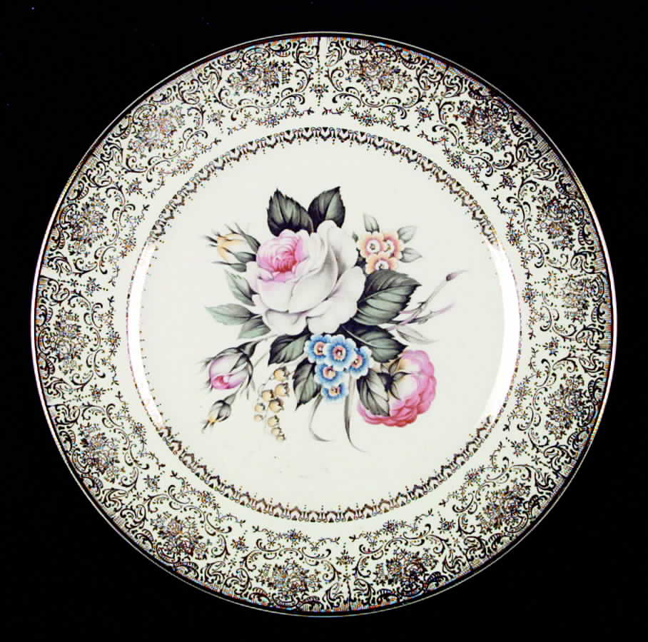 SLM92 Dinner Plate by Salem-1