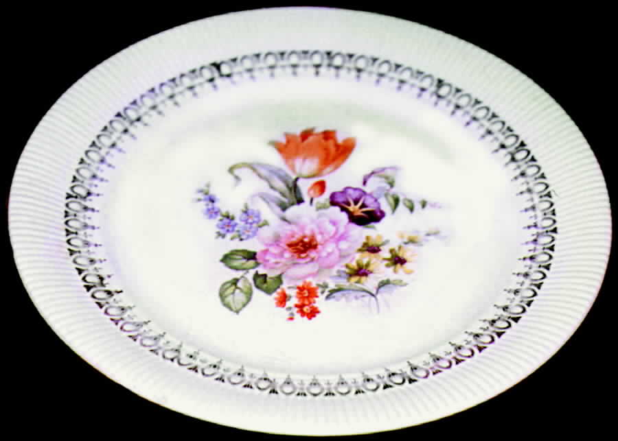 Rust Tulip (Victory) Dinner Plate by Salem-1