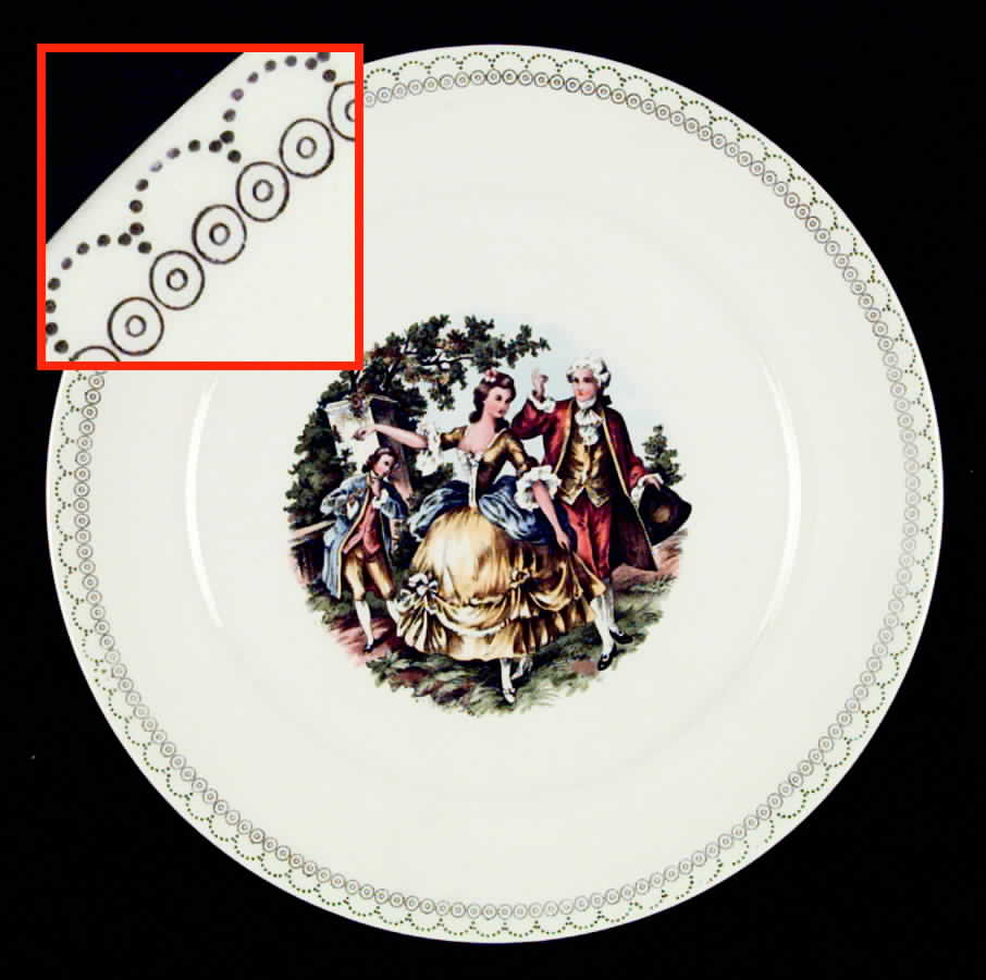 SLM97 Dinner Plate by Salem-1