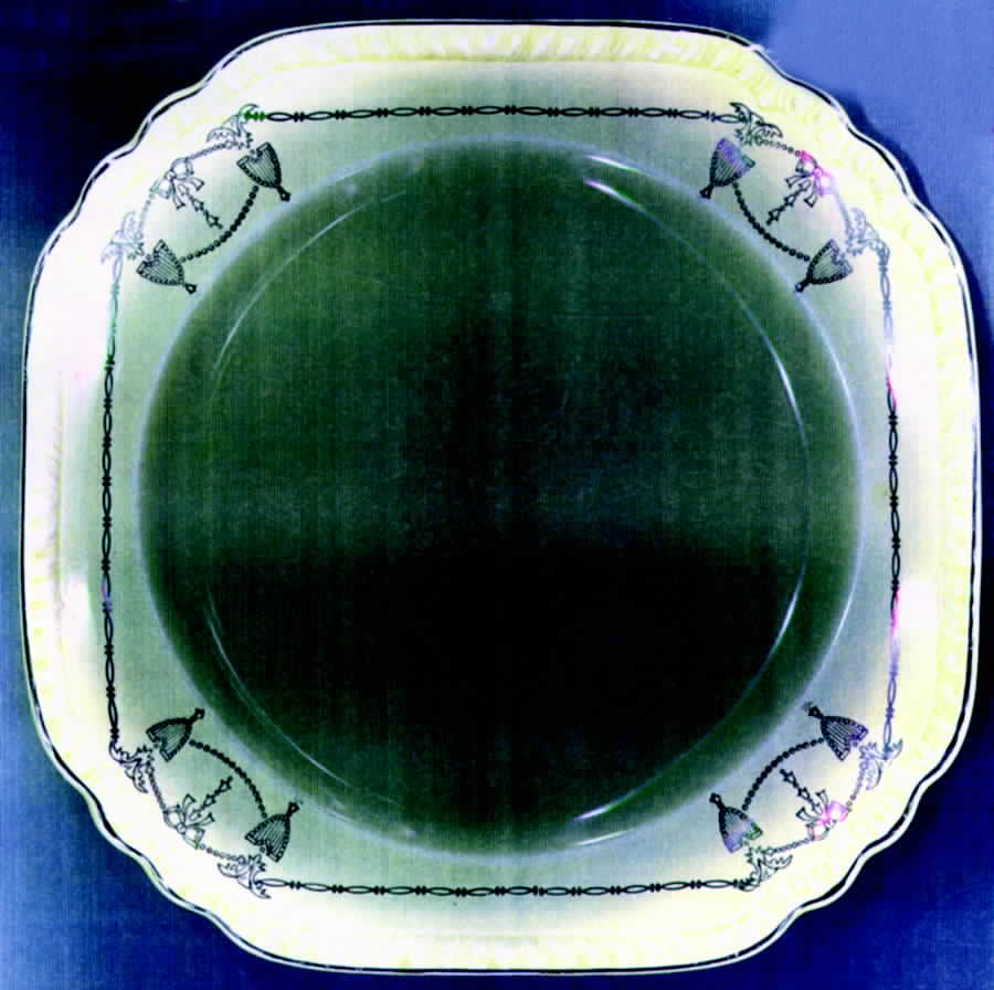 SLM98 Square Luncheon Plate by Salem-1