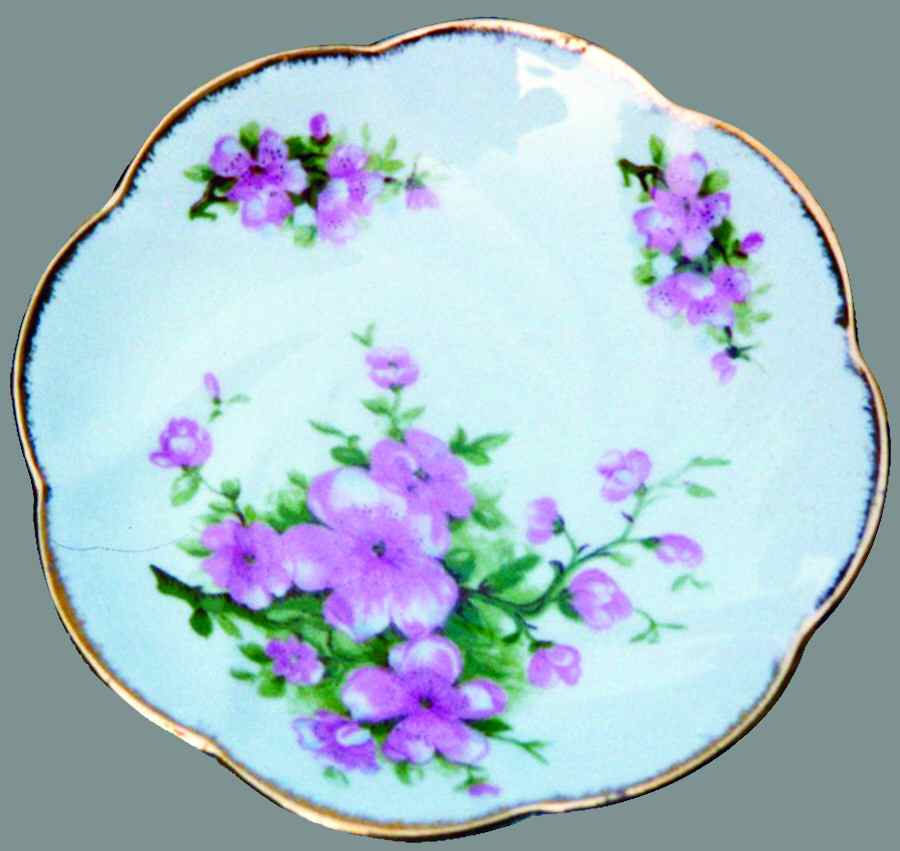 2529 Saucer by Salisbury-1