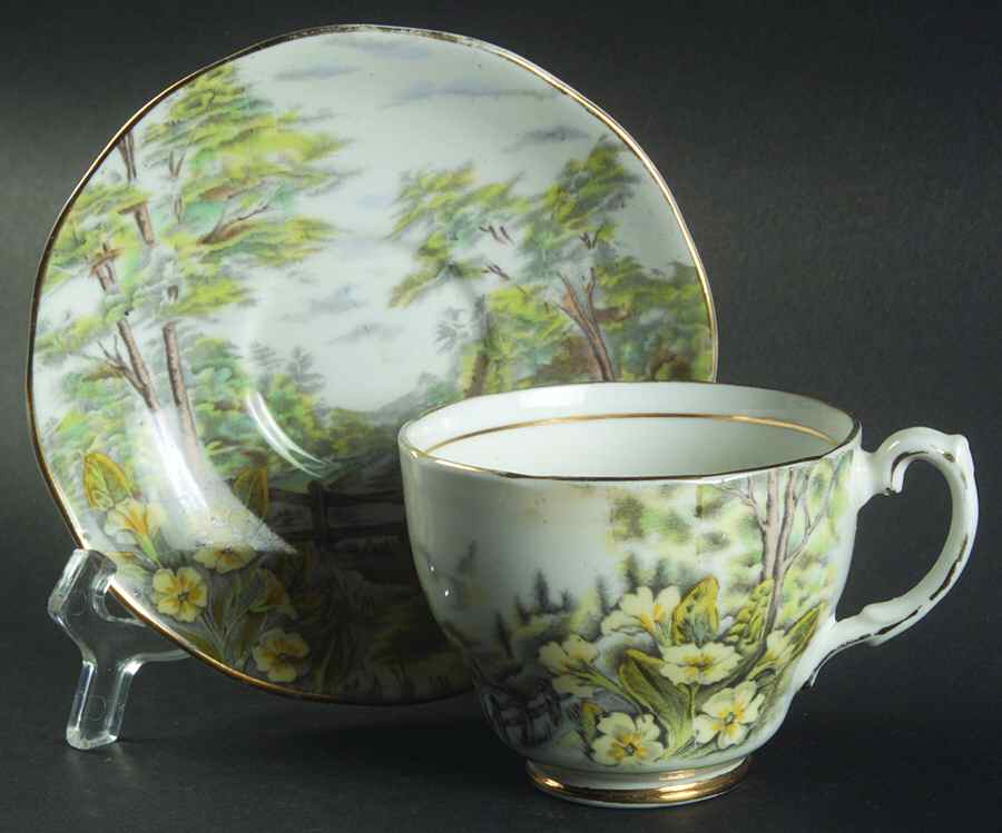 Primrose Glen Footed Cup & Saucer Set by Salisbury-1