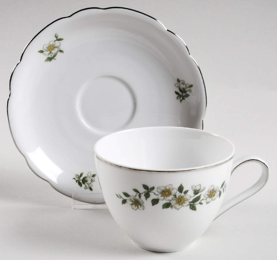 Barlow Flat Cup & Saucer Set by Seltmann-1