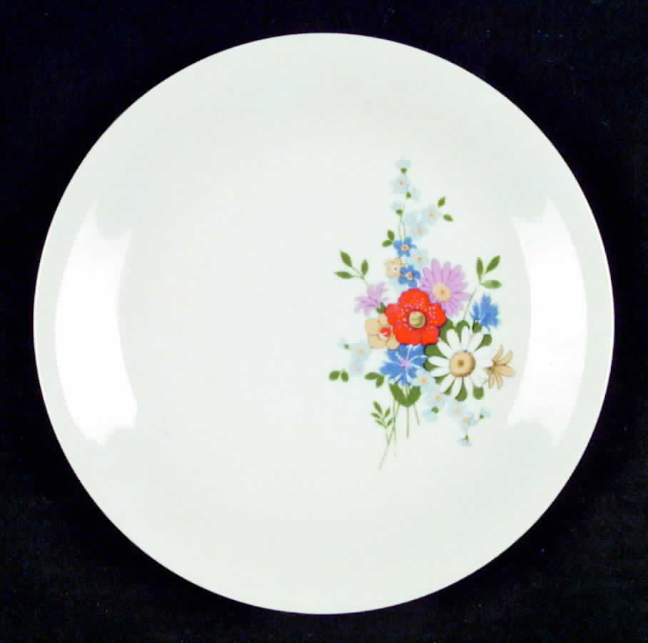 1702 Dinner Plate by Seltmann-1