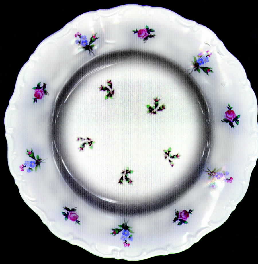 Dresden Luncheon Plate by Seltmann-1