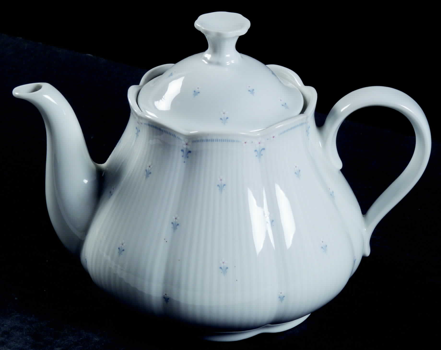 Edelweiss Teapot & Lid by Seltmann-1