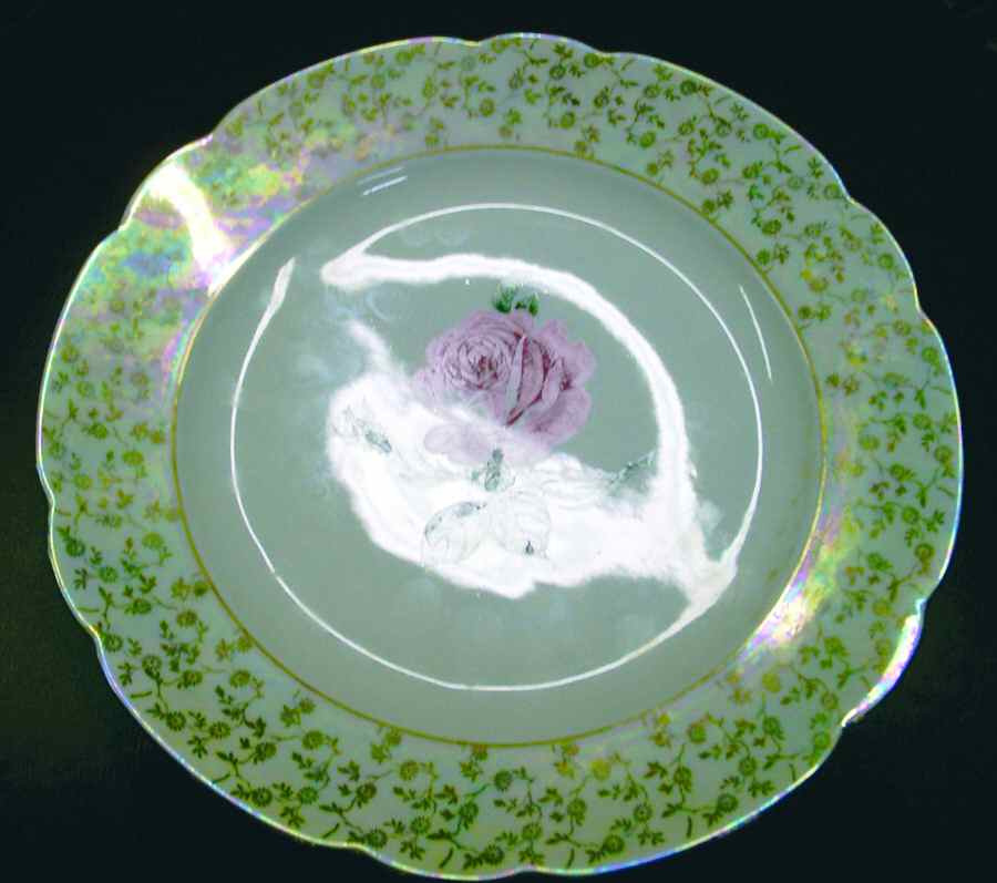 Nora Dinner Plate by Seltmann-1