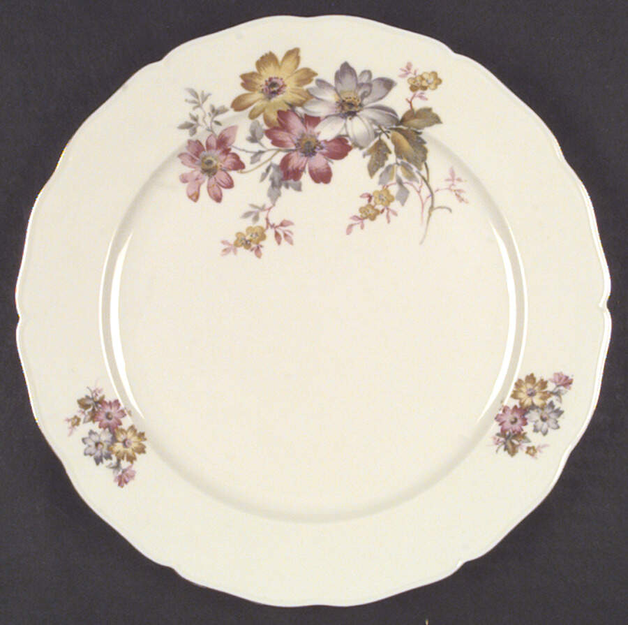 SLT13 Dinner Plate by Seltmann-1