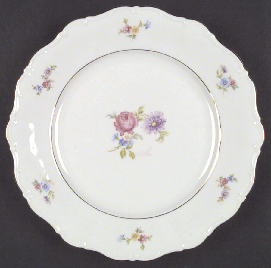 SLT26 Dinner Plate by Seltmann-1