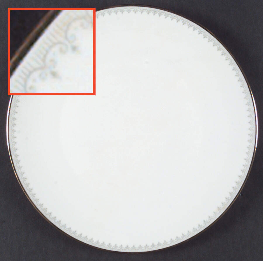 SLT31 Dinner Plate by Seltmann-1