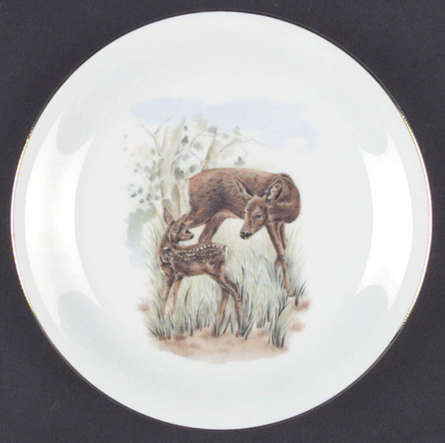 SLT36 Salad Plate by Seltmann-1
