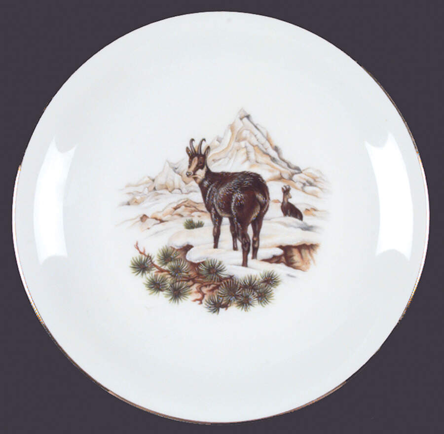 SLT36 Luncheon Plate by Seltmann-1