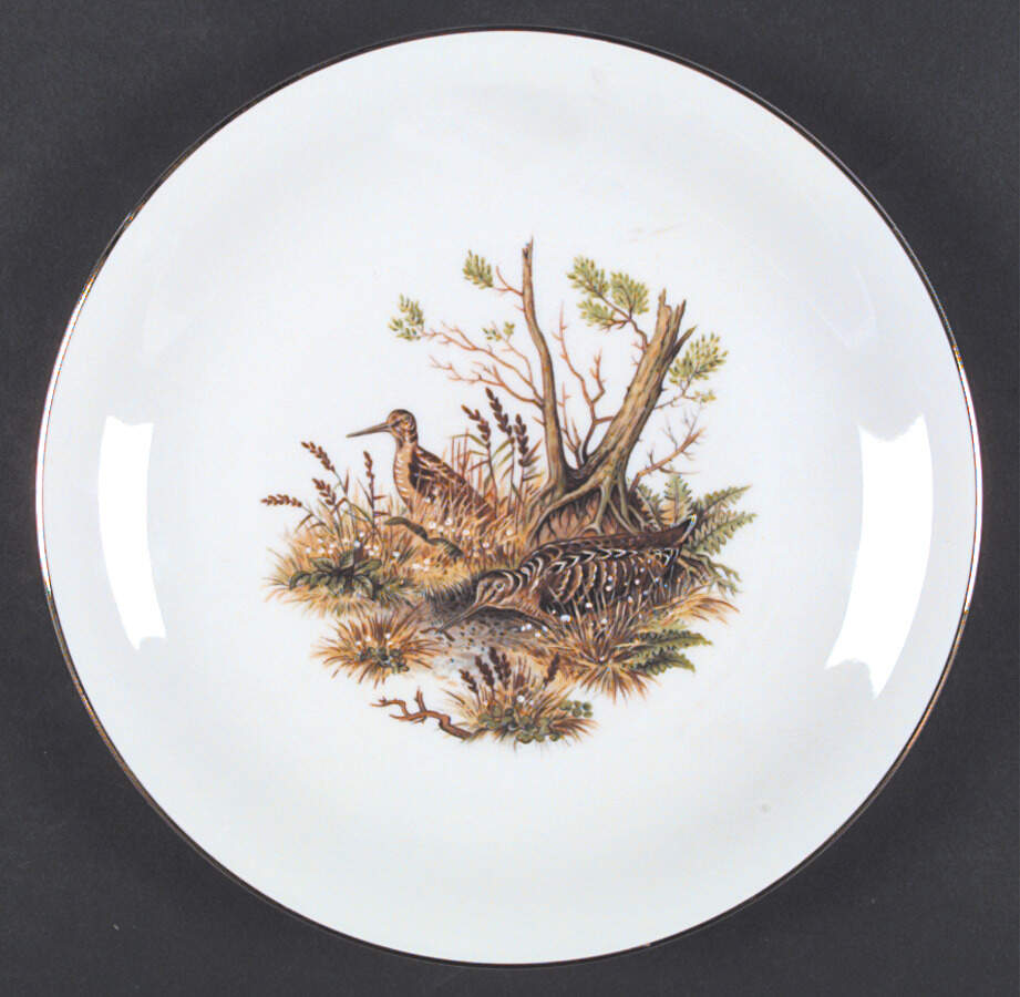 SLT36 Luncheon Plate by Seltmann-1
