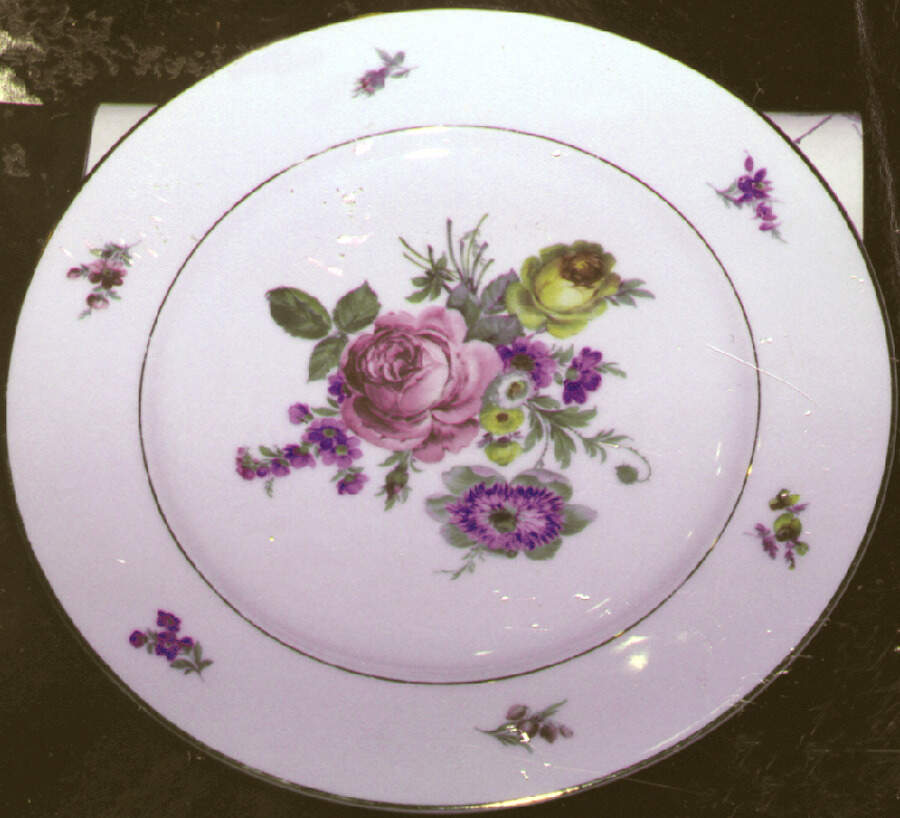 SLT52 Dinner Plate by Seltmann-1