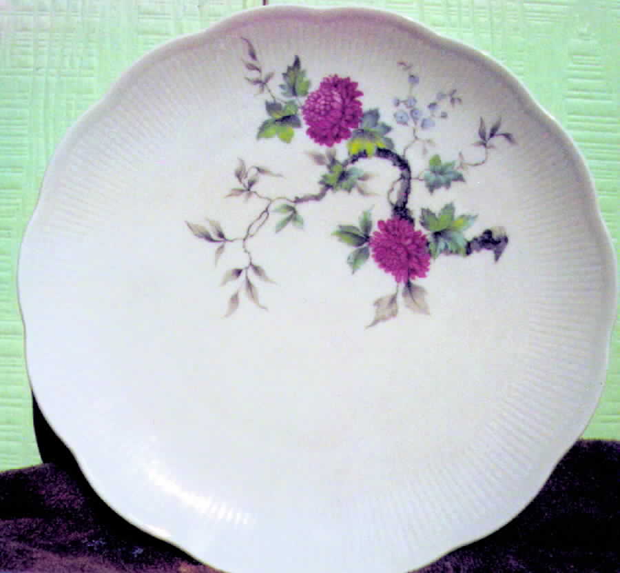 SLT53 Dinner Plate by Seltmann-1