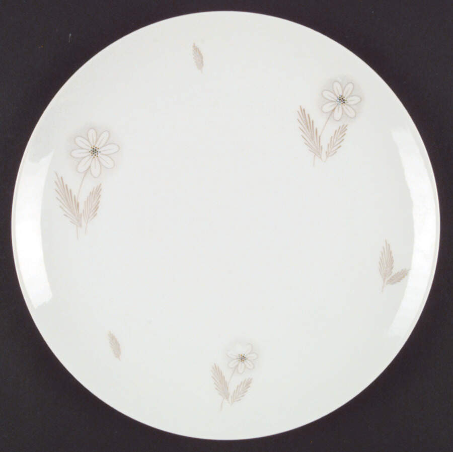 SLT67 Dinner Plate by Seltmann-1