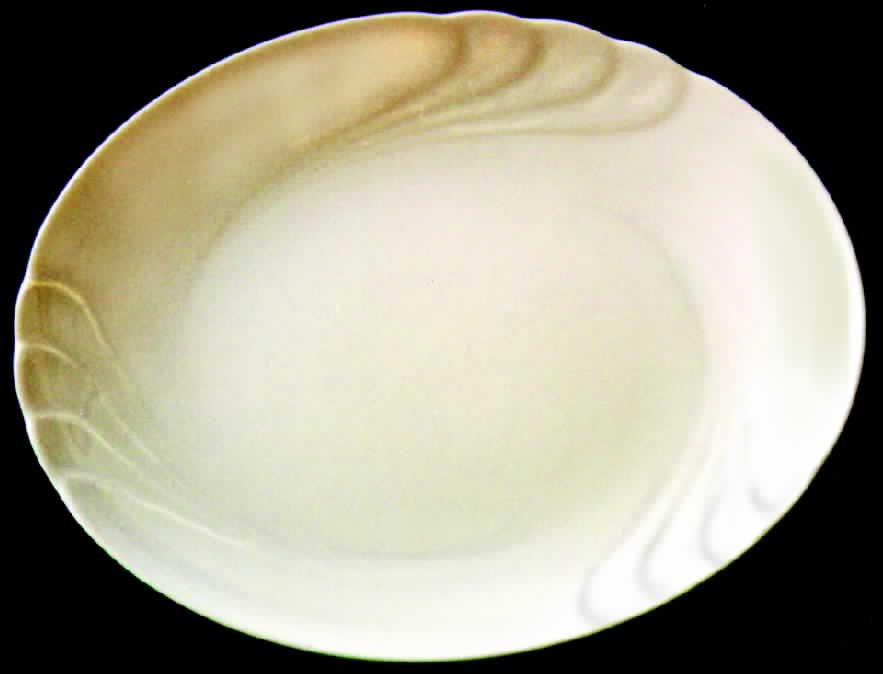 SLT74 14" Oval Serving Platter by Seltmann-1