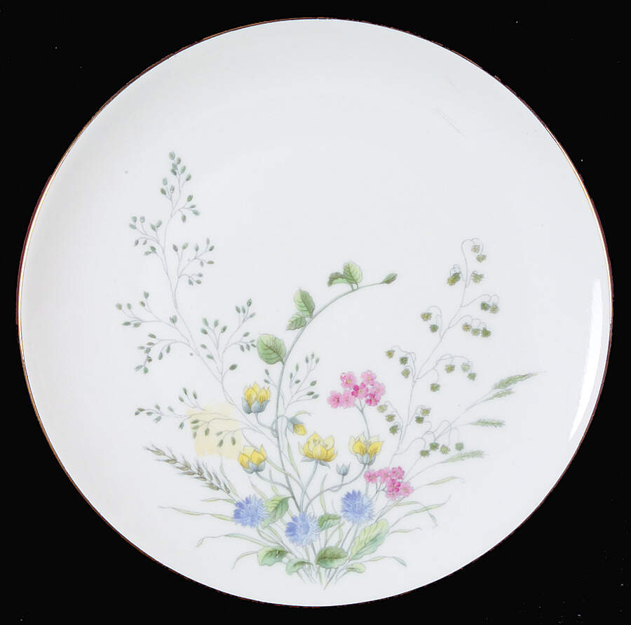 SLT77 Salad Plate by Seltmann-1