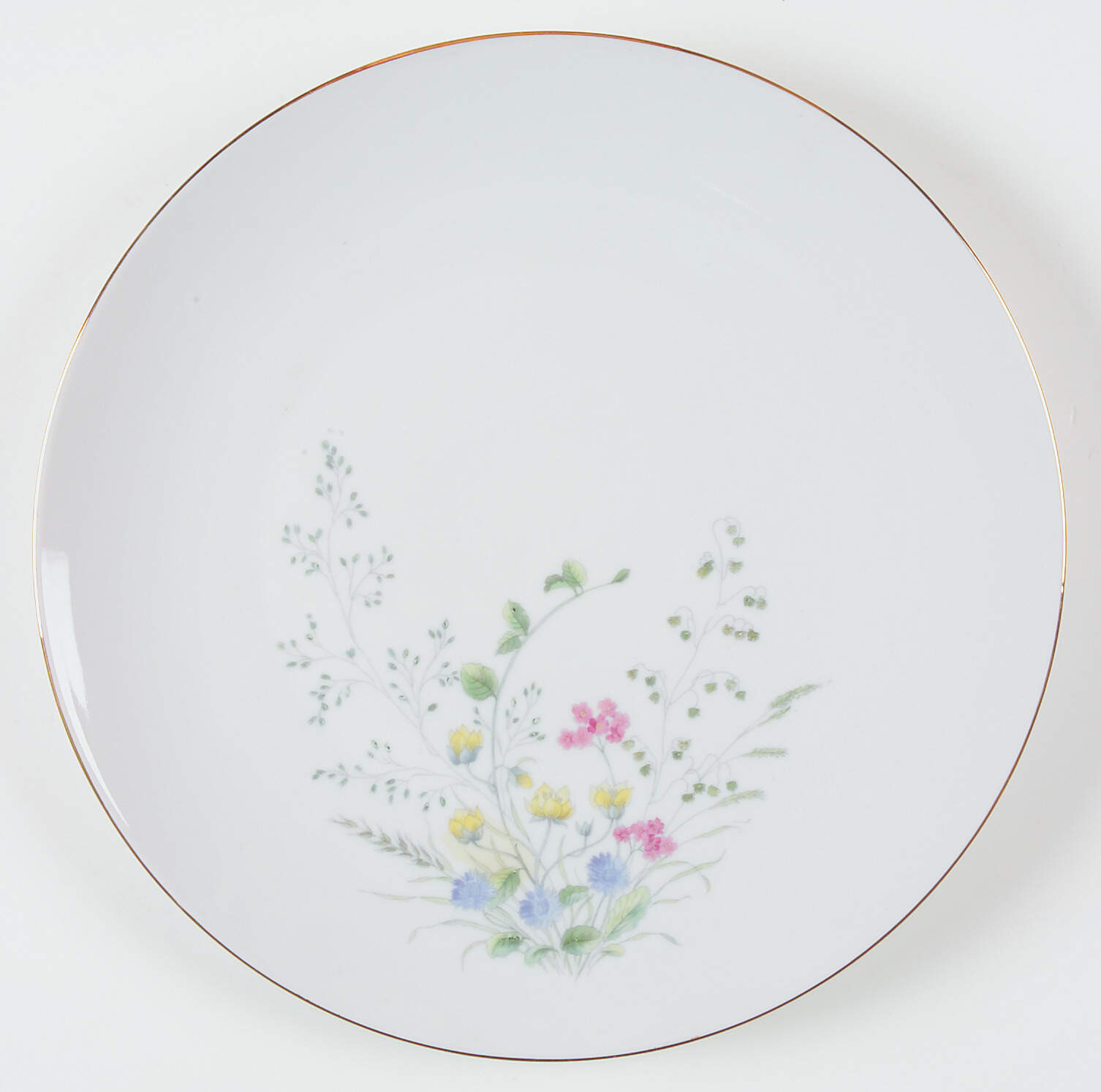 SLT77 Dinner Plate by Seltmann-1