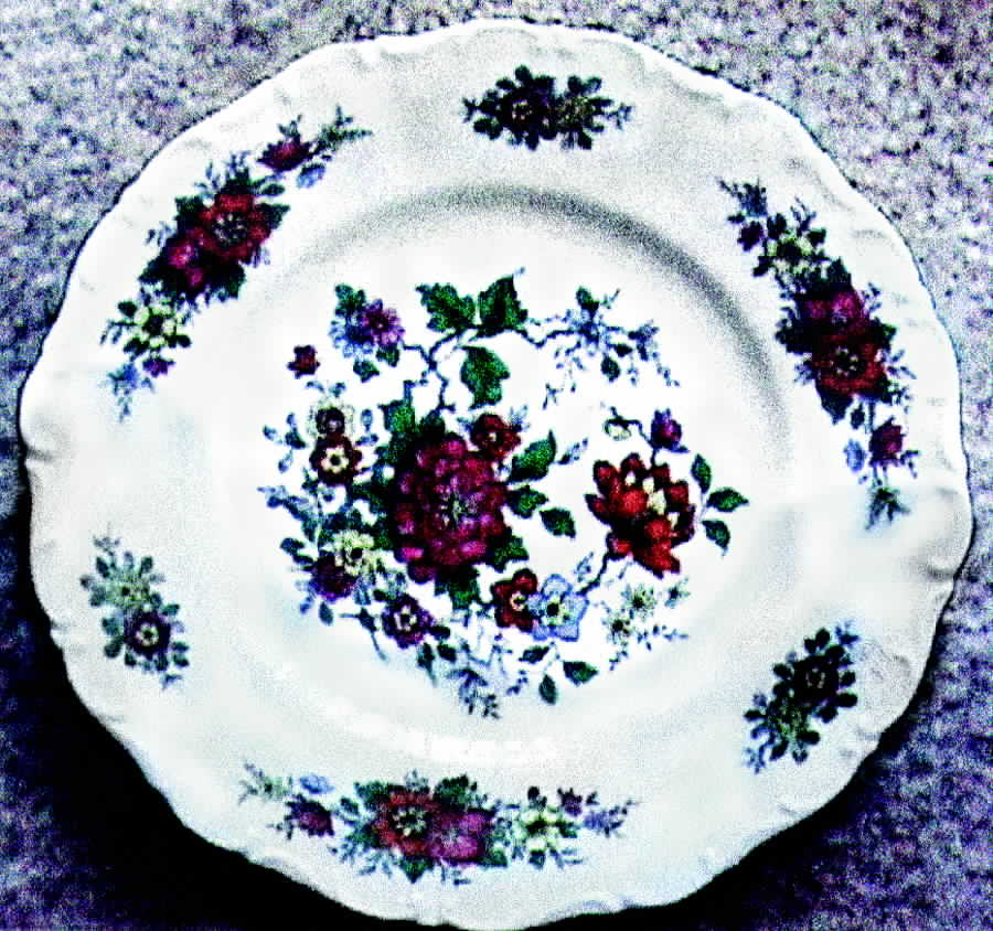 SLT79 Dinner Plate by Seltmann-1