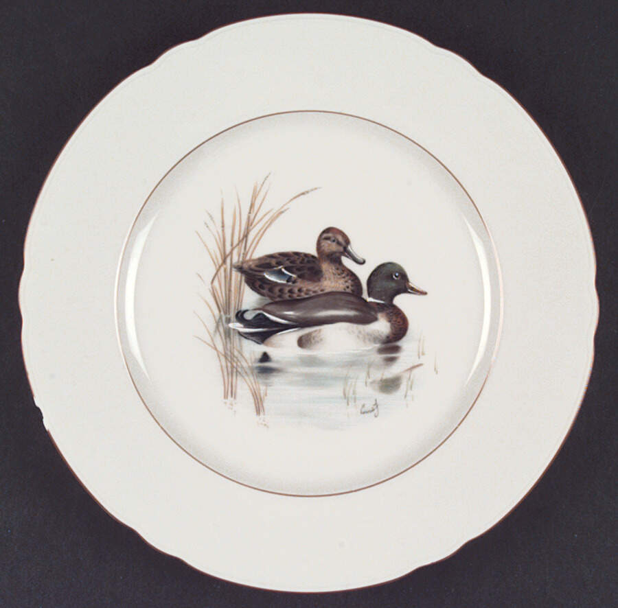 SLT81 Dinner Plate by Seltmann-1