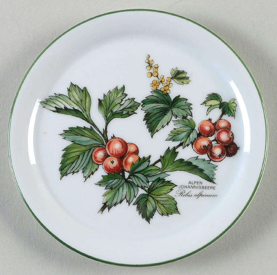 Waldbeere Coaster by Seltmann-1
