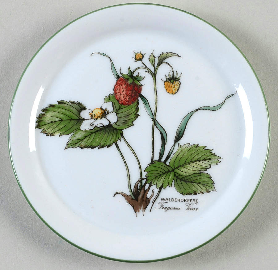Waldbeere Coaster by Seltmann-1
