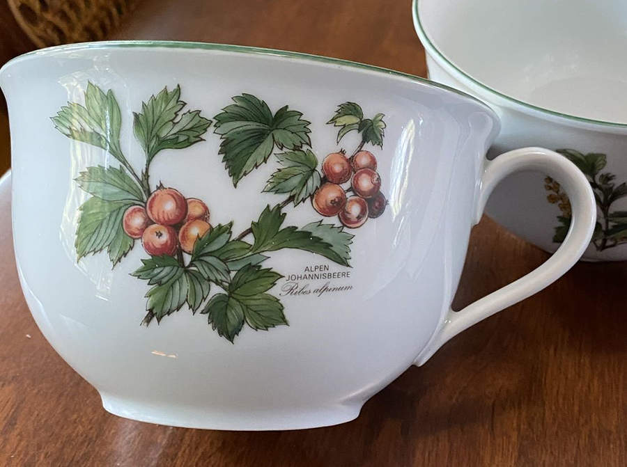 Waldbeere Flat Cup by Seltmann-1