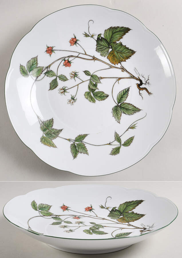 Waldbeere 10" Individual Pasta Bowl by Seltmann-1