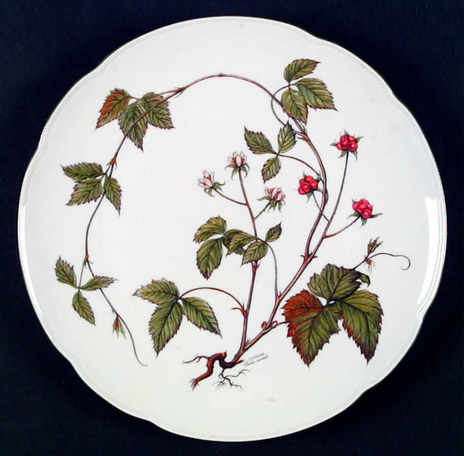 Waldbeere Dinner Plate by Seltmann-1