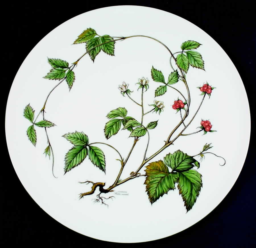 Waldbeere Cake Plate by Seltmann-1