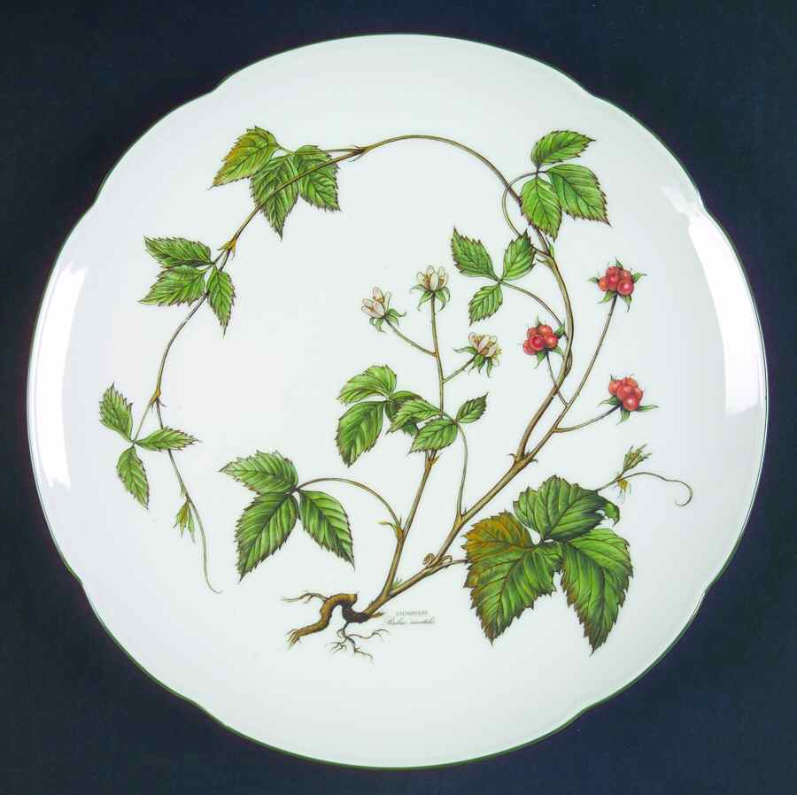 Waldbeere Luncheon Plate by Seltmann-1