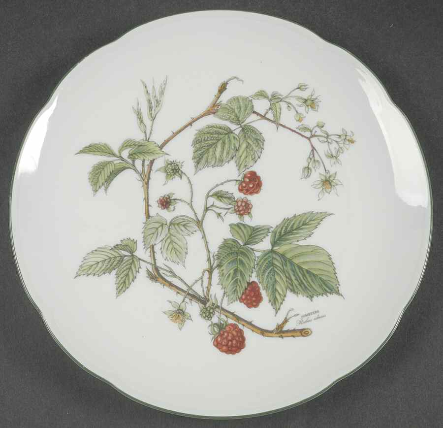 Waldbeere Salad Plate by Seltmann-1
