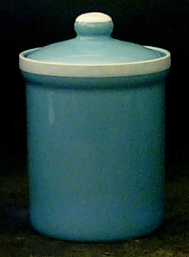 Blueberry Delight Medium Canister & Lid by Studio Nova-1
